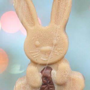 The Tablet Bunny